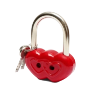 Чебоксары ВС 2-28С "сердце" красный Замок навесной (10)